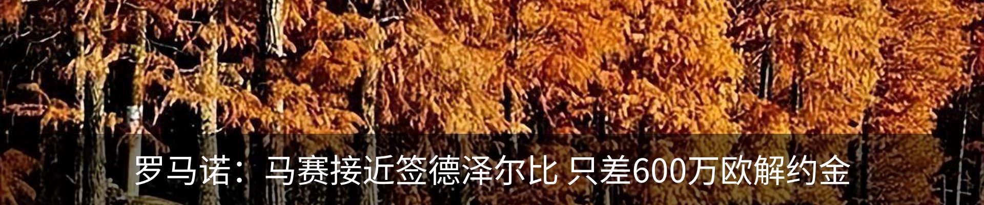 内页banner
